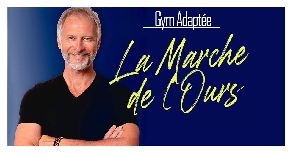 gym-marche-de-ours